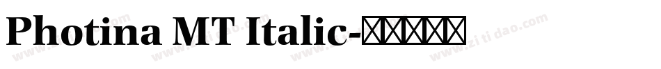 Photina MT Italic字体转换